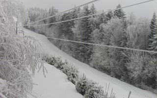 Laskowa pośredni - 01-02-2026 08:34