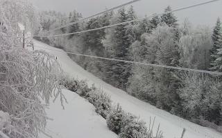 Laskowa pośredni - 01-02-2026 08:45