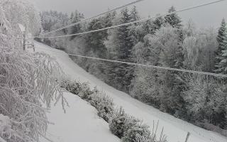 Laskowa pośredni - 01-02-2026 09:40