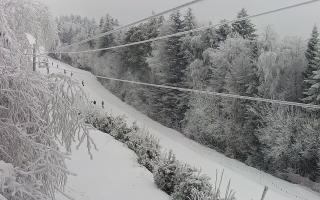 Laskowa pośredni - 01-02-2026 10:02