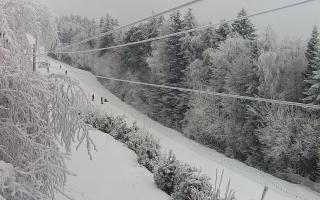 Laskowa pośredni - 01-02-2026 10:13