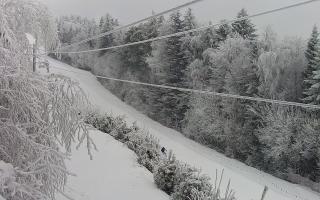 Laskowa pośredni - 01-02-2026 10:23