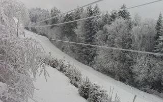 Laskowa pośredni - 01-02-2026 10:34