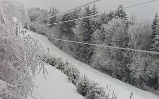 Laskowa pośredni - 01-02-2026 10:56