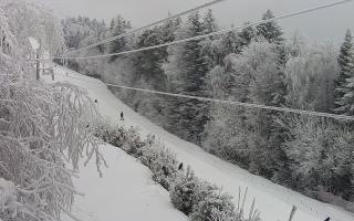 Laskowa pośredni - 01-02-2026 11:29