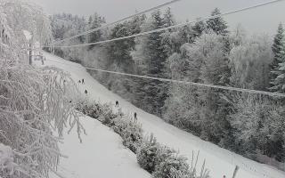 Laskowa pośredni - 01-02-2026 11:40