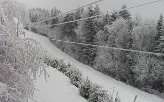 Laskowa pośredni - 01-02-2026 11:51