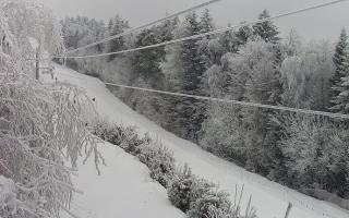 Laskowa pośredni - 01-02-2026 12:02