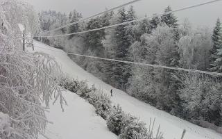 Laskowa pośredni - 01-02-2026 12:13