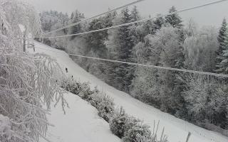 Laskowa pośredni - 01-02-2026 12:35