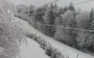 Laskowa pośredni - 01-02-2026 12:46