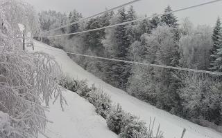 Laskowa pośredni - 01-02-2026 12:57