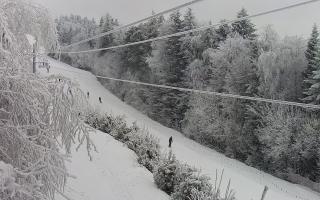 Laskowa pośredni - 01-02-2026 13:08