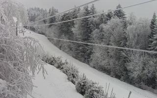 Laskowa pośredni - 01-02-2026 13:19