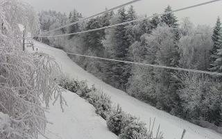 Laskowa pośredni - 01-02-2026 13:30