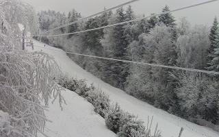 Laskowa pośredni - 01-02-2026 13:41