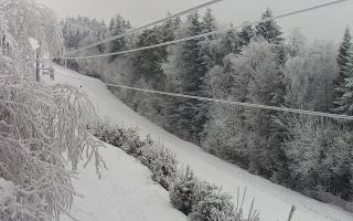 Laskowa pośredni - 01-02-2026 14:03