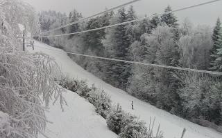 Laskowa pośredni - 01-02-2026 14:25