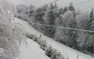 Laskowa pośredni - 01-02-2026 14:36