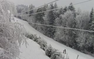 Laskowa pośredni - 01-02-2026 14:47