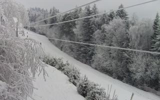 Laskowa pośredni - 01-02-2026 14:58