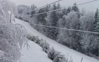 Laskowa pośredni - 01-02-2026 15:09