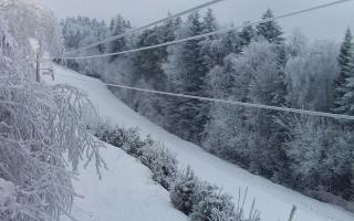 Laskowa pośredni - 01-02-2026 15:20