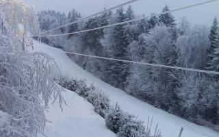 Laskowa pośredni - 01-02-2026 15:31