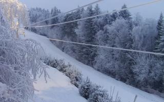 Laskowa pośredni - 01-02-2026 15:42