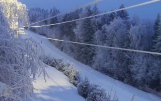 Laskowa pośredni - 01-02-2026 15:53