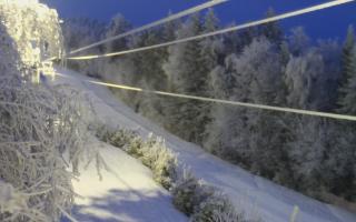 Laskowa pośredni - 01-02-2026 16:04