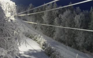 Laskowa pośredni - 01-02-2026 16:15