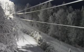 Laskowa pośredni - 01-02-2026 16:26