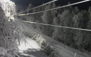 Laskowa pośredni - 01-02-2026 16:37