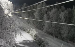 Laskowa pośredni - 01-02-2026 16:48