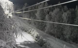 Laskowa pośredni - 01-02-2026 17:21