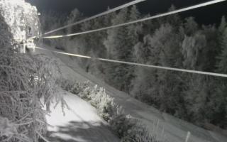 Laskowa pośredni - 01-02-2026 17:32