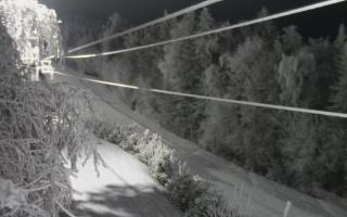 Laskowa pośredni - 01-02-2026 17:43