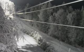 Laskowa pośredni - 01-02-2026 17:54