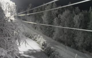 Laskowa pośredni - 01-02-2026 18:05