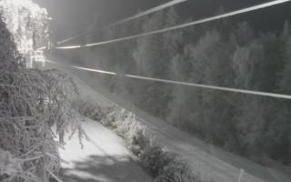 Laskowa pośredni - 01-02-2026 18:37