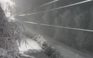 Laskowa pośredni - 01-02-2026 18:48