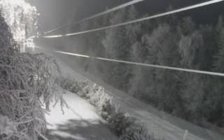 Laskowa pośredni - 01-02-2026 18:59