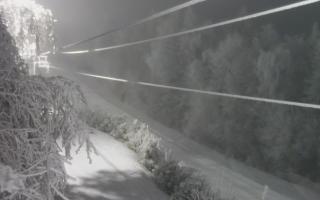 Laskowa pośredni - 01-02-2026 19:21