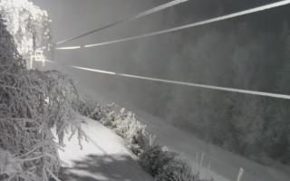 Laskowa pośredni - 02-02-2026 01:02