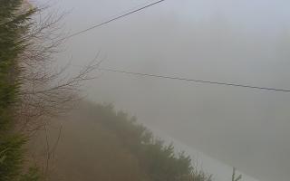 Laskowa pośredni - 16-03-2026 06:20