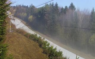 Laskowa pośredni - 16-03-2026 06:31