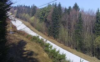 Laskowa pośredni - 16-03-2026 07:50