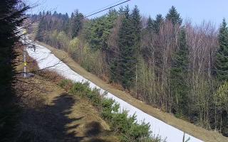 Laskowa pośredni - 16-03-2026 08:01