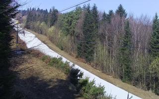 Laskowa pośredni - 16-03-2026 08:34